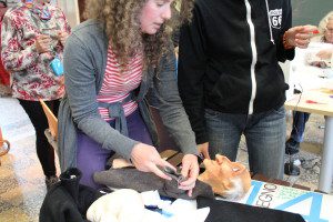 IMG 4935