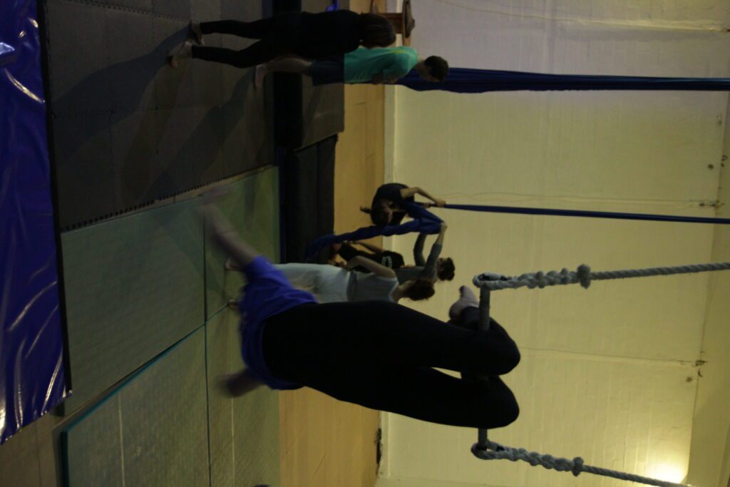 IMG 2256 e1480464245489