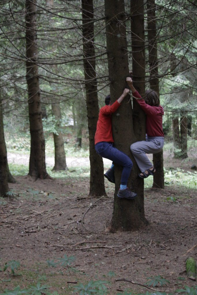 MG 2199 e1536516701751