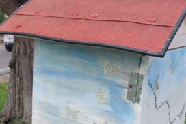 WhatsApp Image 2025 05 22 at 17.55.22 (1)